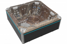 Whirlpool Wellis Everest Life Premium Edition